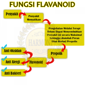 Apa itu Flavanoid dan Apa Manfaat Flavanoid Pada Propolis