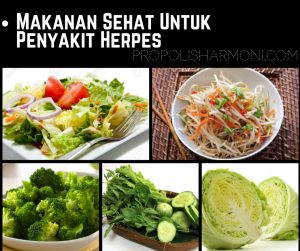 Makanan Sehat Untuk Penyakit Herpes